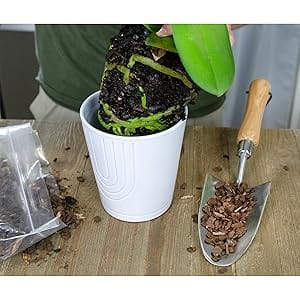 soil sunrise crushed pine bark mulch nuggets chips houseplant mulch orchids carnivorous plants