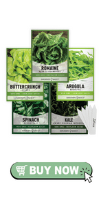 Lettuce seeds salad greens romaine spinach kale Bibb butter crunch hydroponic arugula for planting