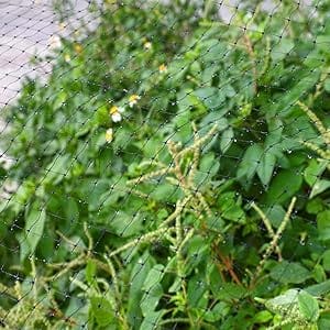 garden netting