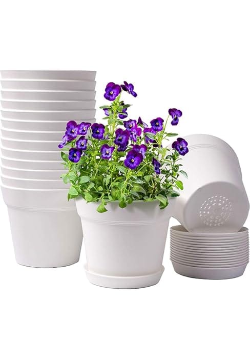 Pots for Plants, 15 Pack 6 inch