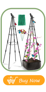 Obelisk Trellis