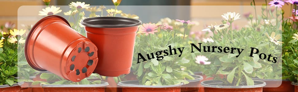Plastic Plants Nursery Pot