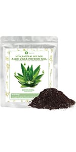 Aloe Vera Soil