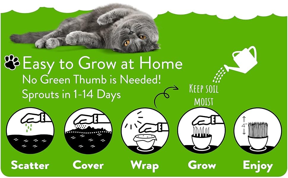 cat seed pack, cat seeds, feline seeds, cat green, pet grass for cats, cat grass seeds bulk