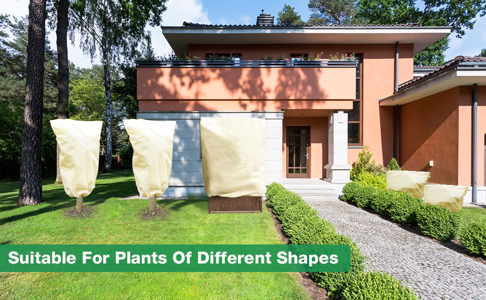 plant cover