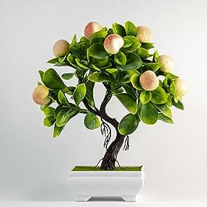 bonsai tree, fruit, cz grain