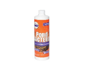 Pond Bacteria 16oz
