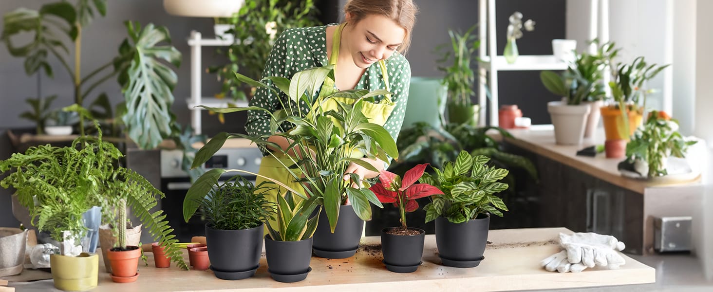 Plastic Planter
