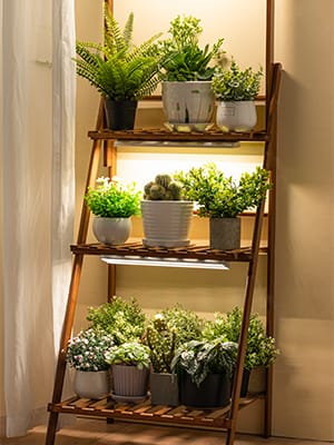 grow light