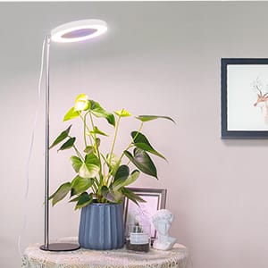 grow lamp