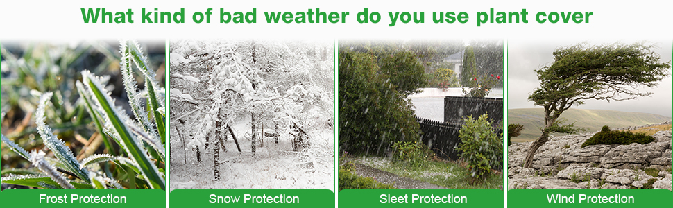 freeze blankets for outdoor plants