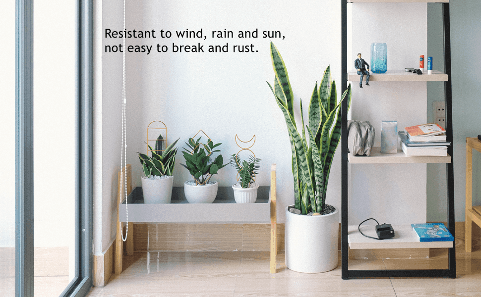 trellis for climbing plants indoor