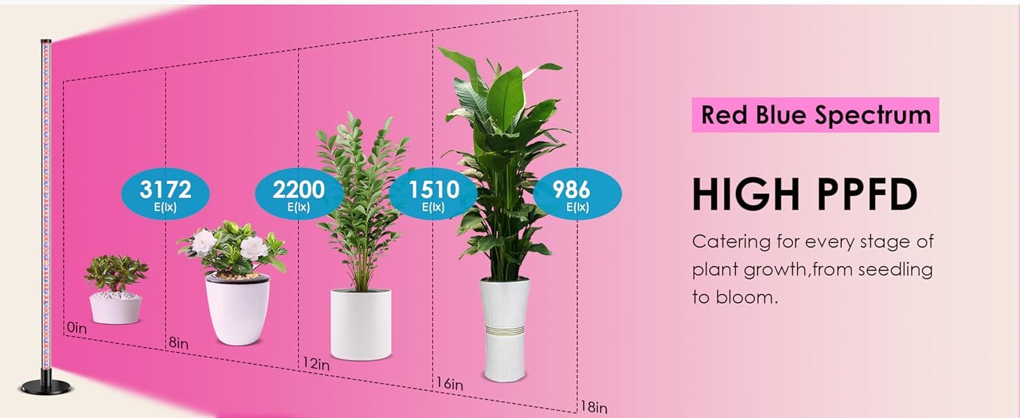 houseplant grow light