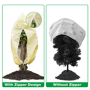 plant cover