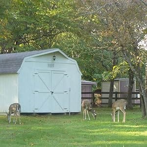 deer fence