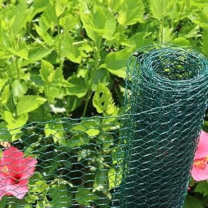 green chicken wire