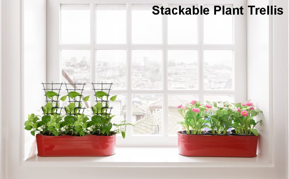 mini trellis