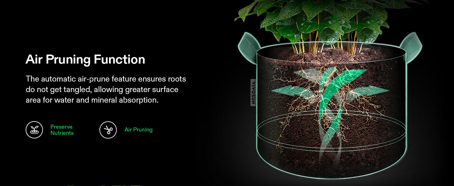 Air Pruning