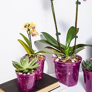 rePotme slotted pots