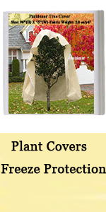 Tree cover
