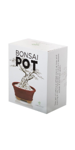 red bonsai pot