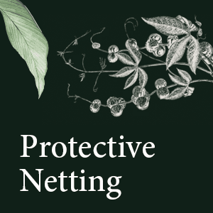netting