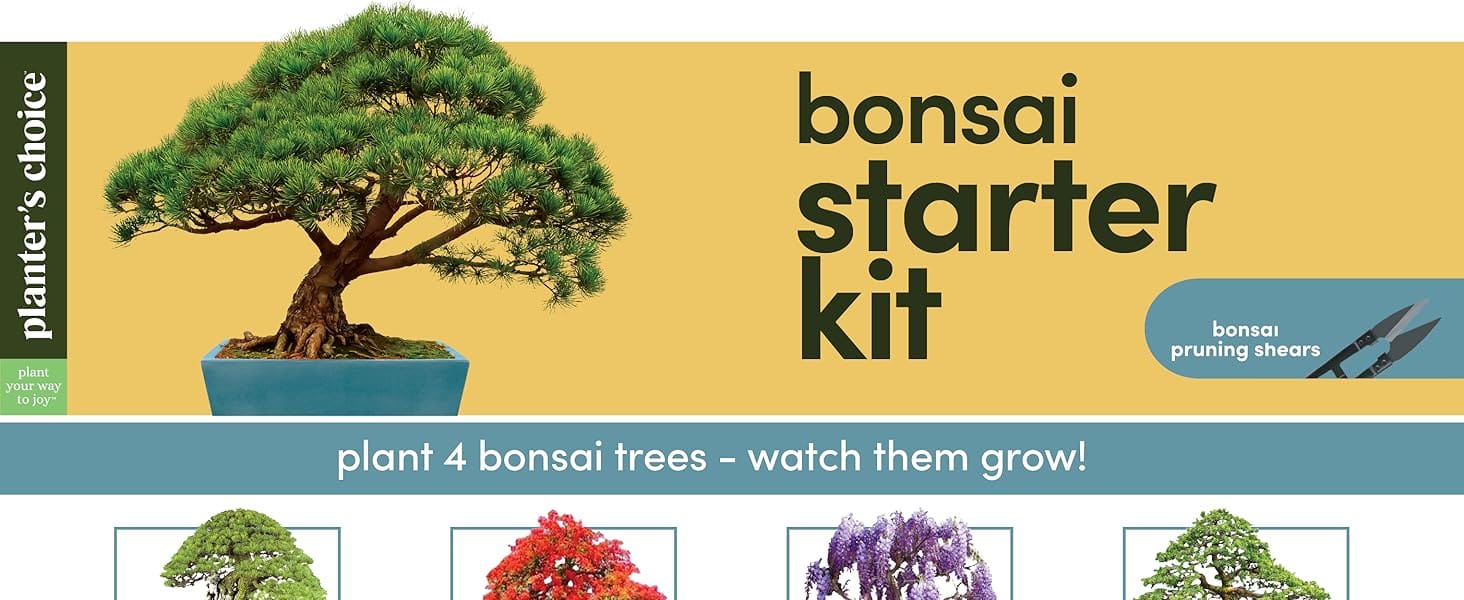 Planters choice bonsai starter kit header