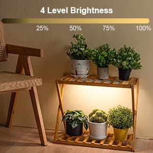 grow light