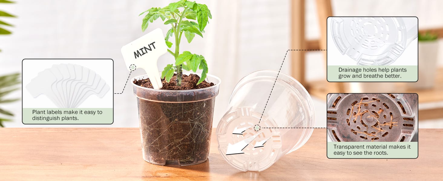 Clear Nursery Pots