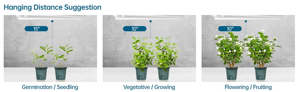 plant light for indoor plants
