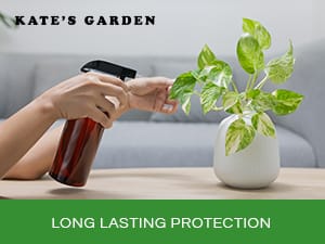 spraying plant
