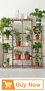 plant shelf
