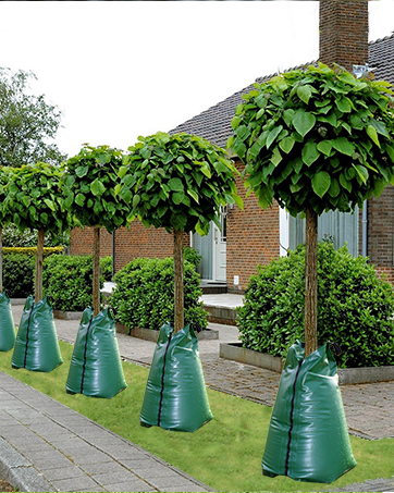 Tree watering bag