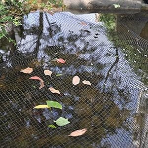 Pond Netting