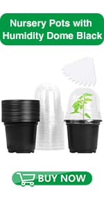 nursery pots with humidity dome