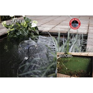 Before & After