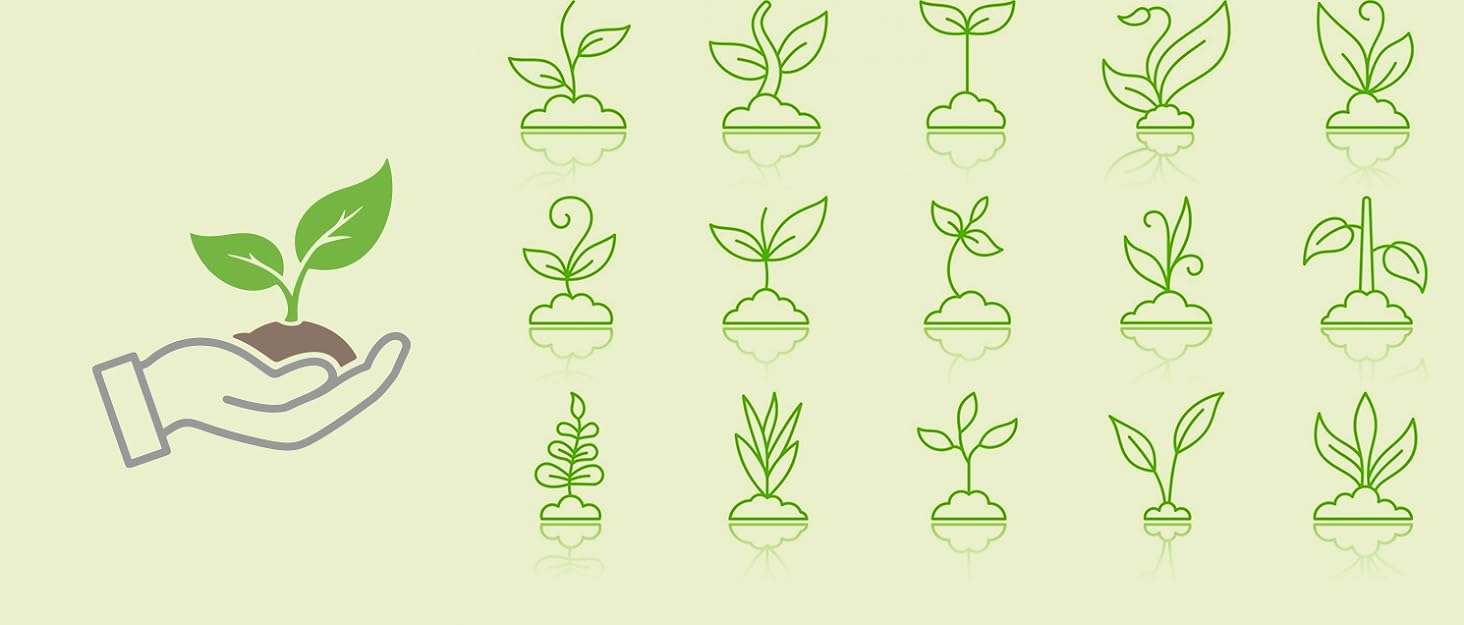 Garden plant tools