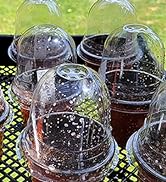 nursery pots