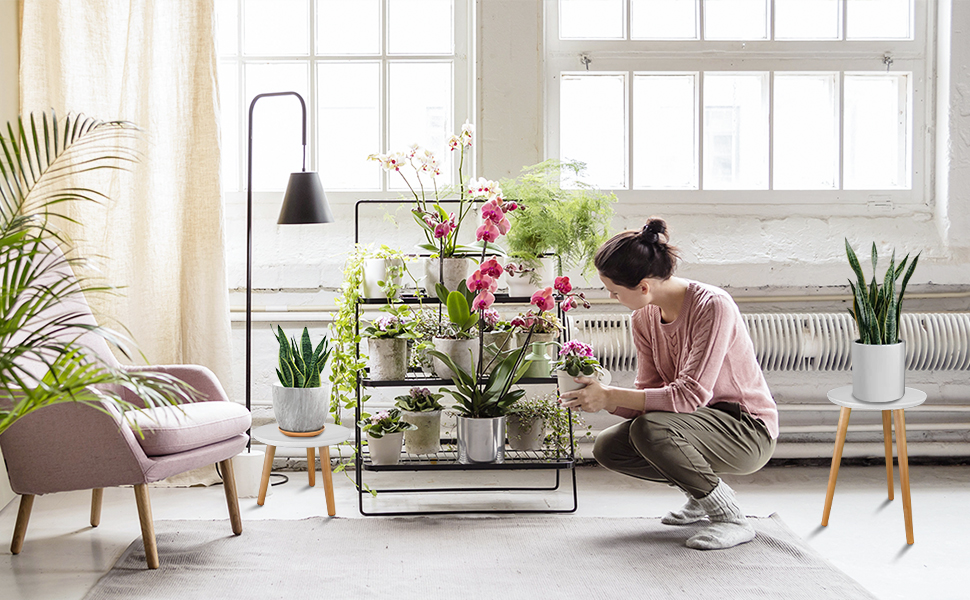 modern plant stand