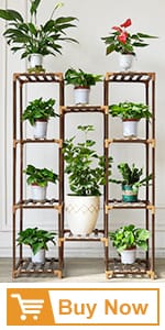 plant stand