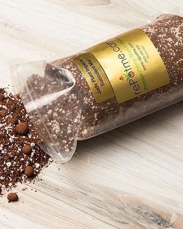 potting mix soil repotting orchid succulent monstera pothos indoor plant pots orchid pot bark