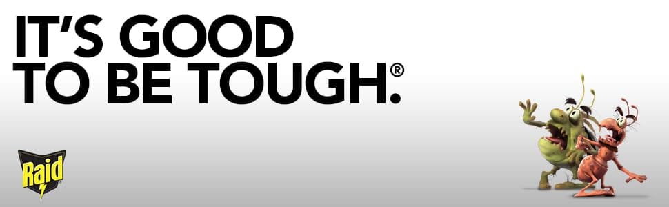 Raid It is good to be tough