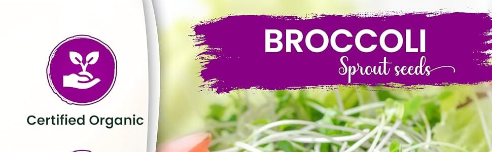 broccoli ad