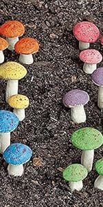 mushroom assorted color