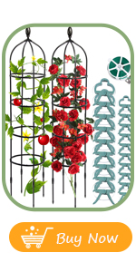 garden trellis