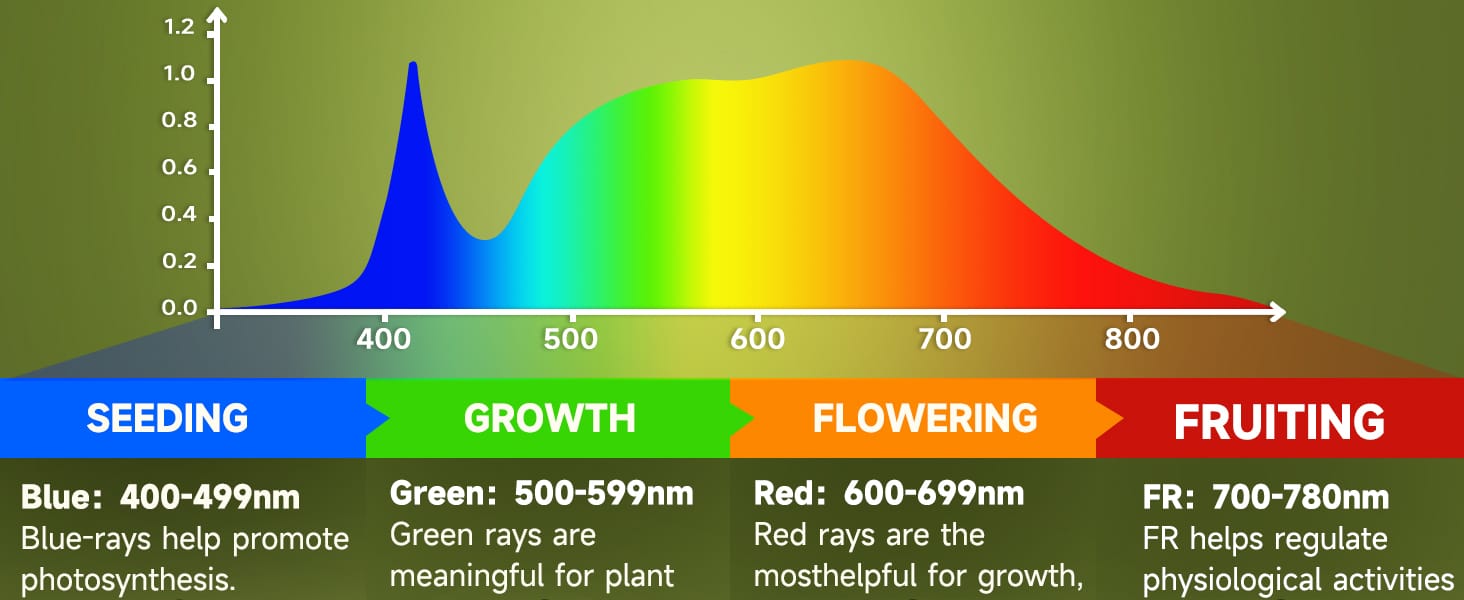 Full Spectrum Light Bulb