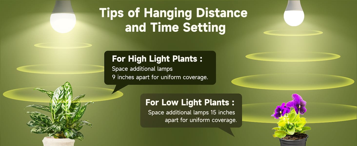 plant light bulbs