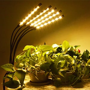 grow light