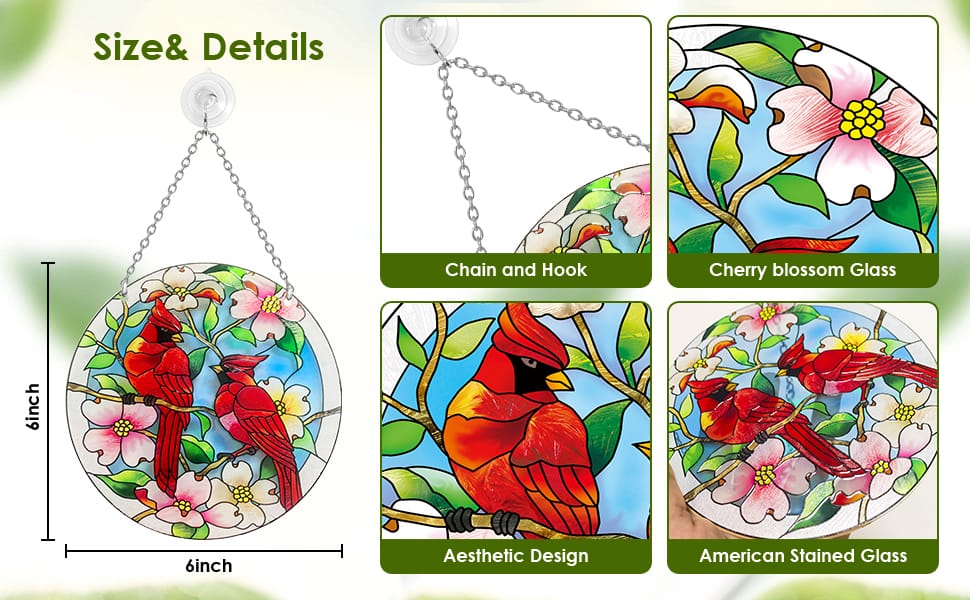 Size and Detail - Cardinal Hummingbird