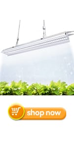 grow light
